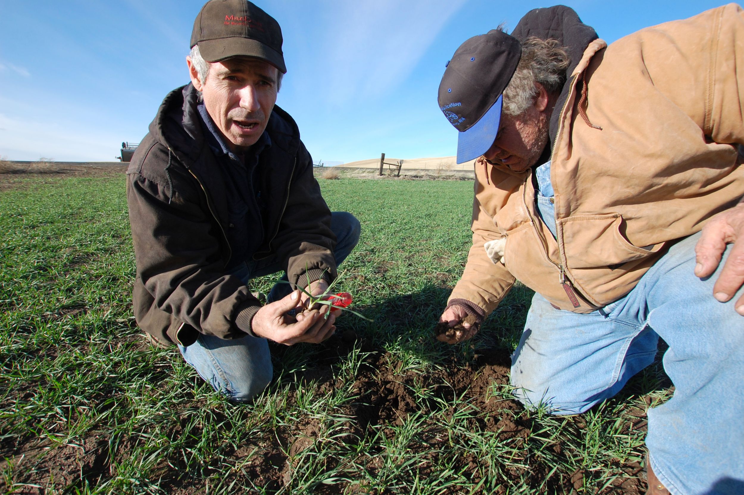 Monte Miller, left, and Ronnie Miller in a recently planted field of winter wheat.