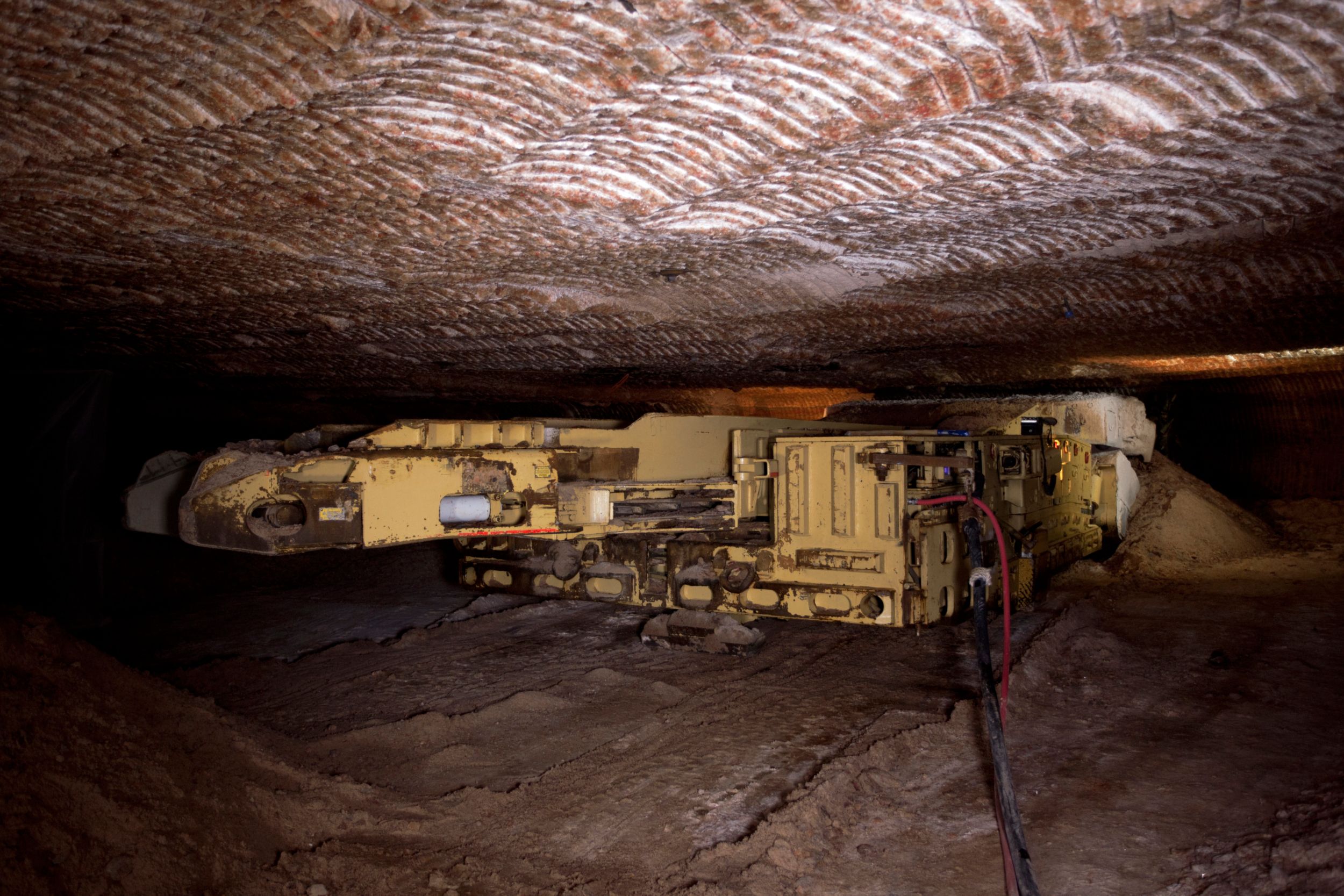 GATHERING HEAD AND CONVEYOR