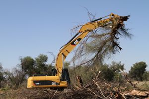 Cat 329D L excavator clearing trees