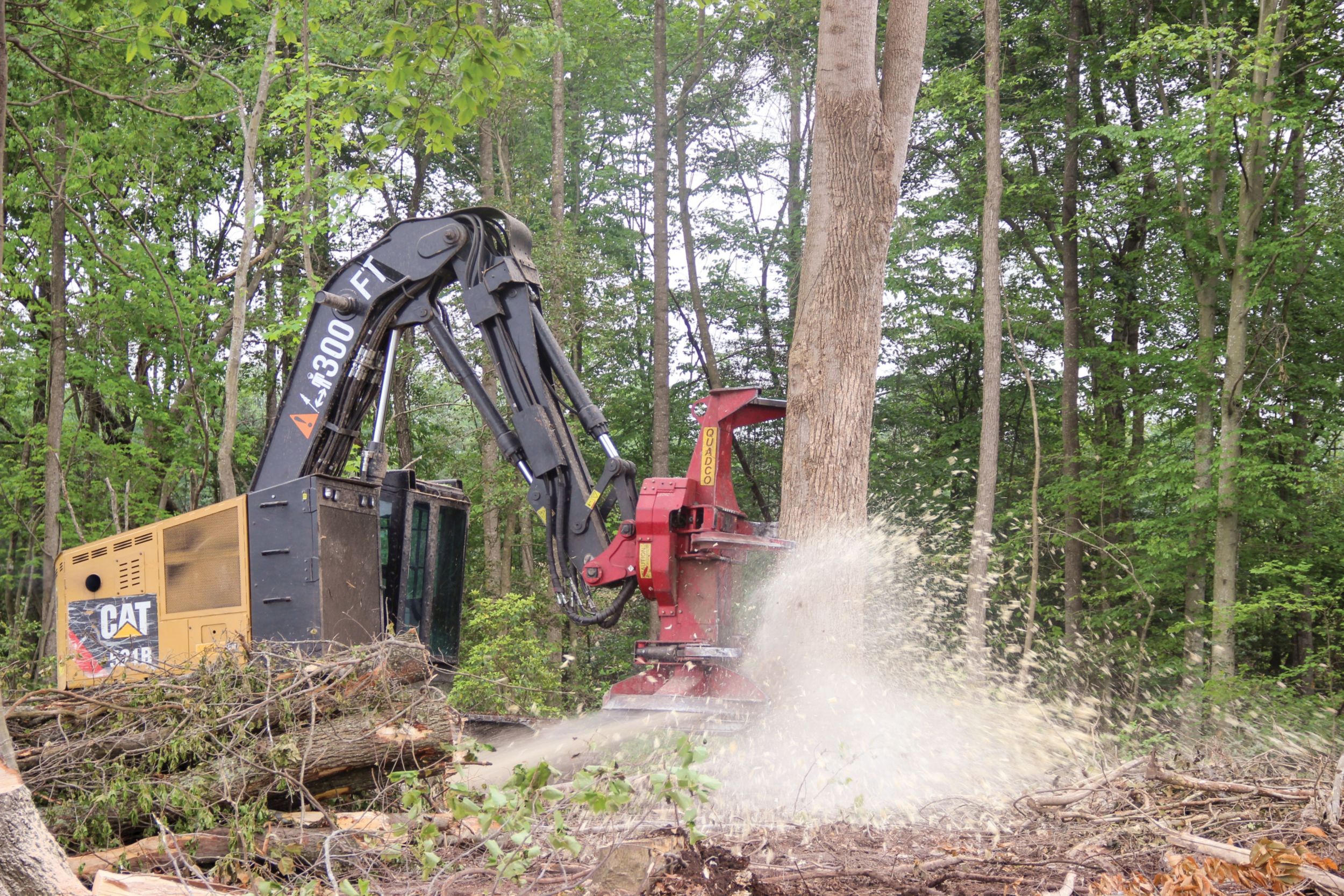 Williams became fascinated with logging as a child when he watched a crew work near his home.