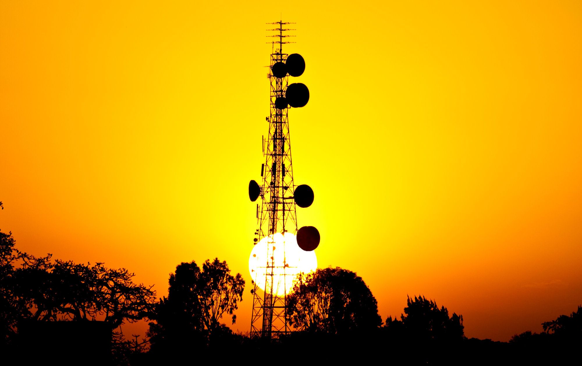 Power your telecoms success