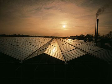 Van Diemen Greenhouse