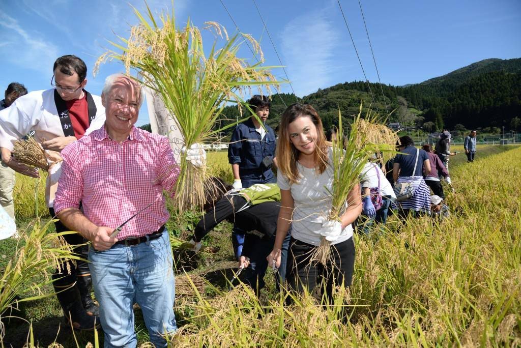 Agritourism as a part of the reclamation of Rikuzentakata, Japan