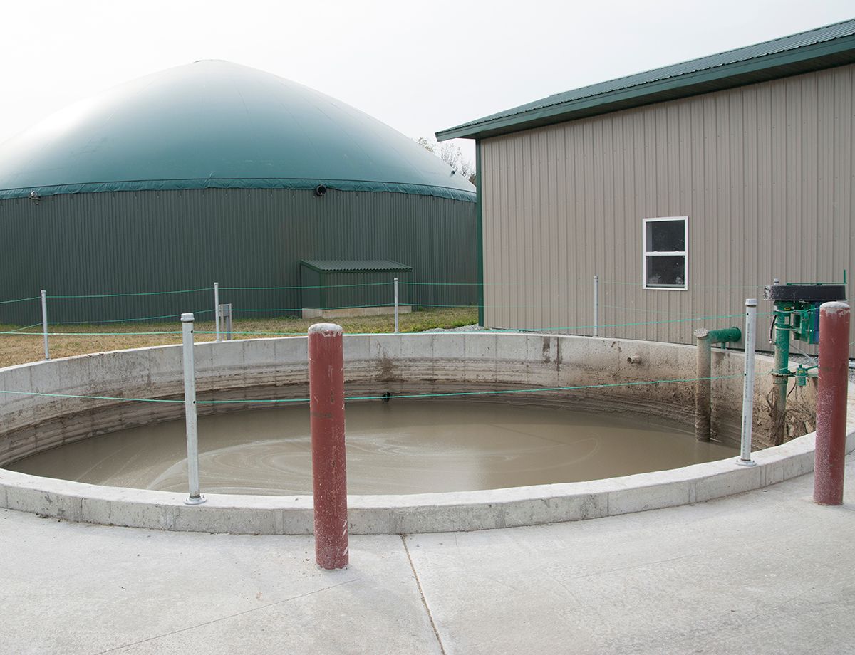 Manure is collected in pools and piped to a pair of mixing tanks that empty into two anaerobic digesters. The resulting methane gas fuels the generators. 