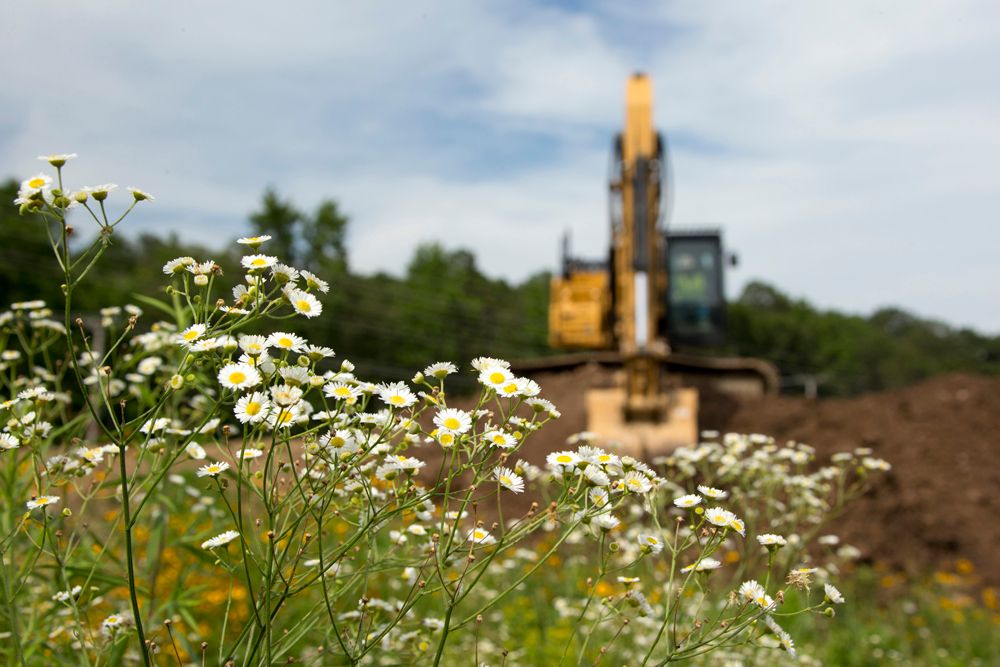 Caterpillar Foundation