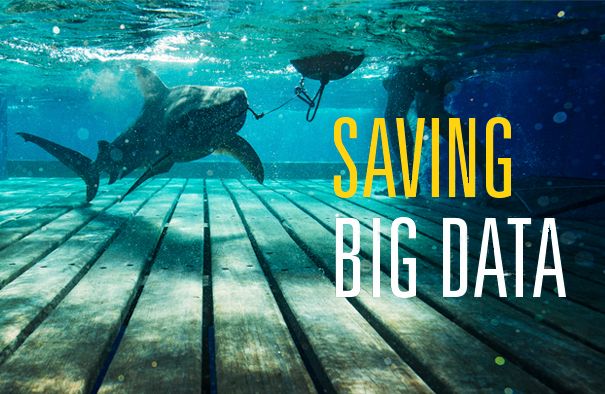 Saving Big Data