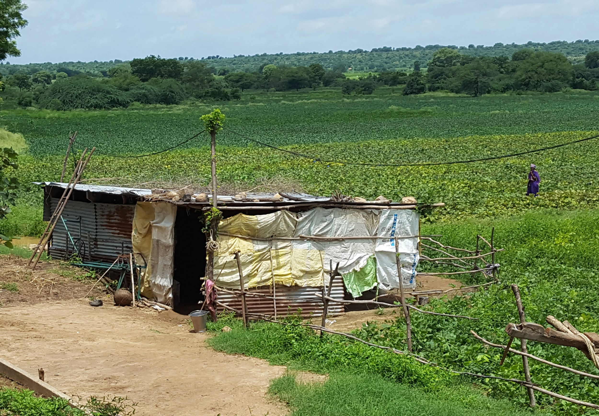 Marginal and landless farmers with access to silted soil dramatically increase their income and lesson or eliminate the need to migrate.