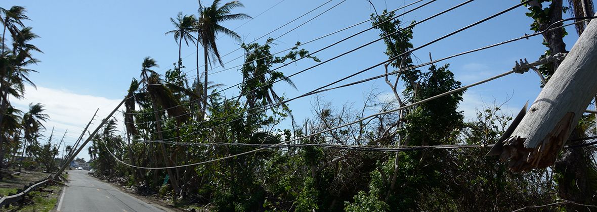 STORIES FROM THE STORM