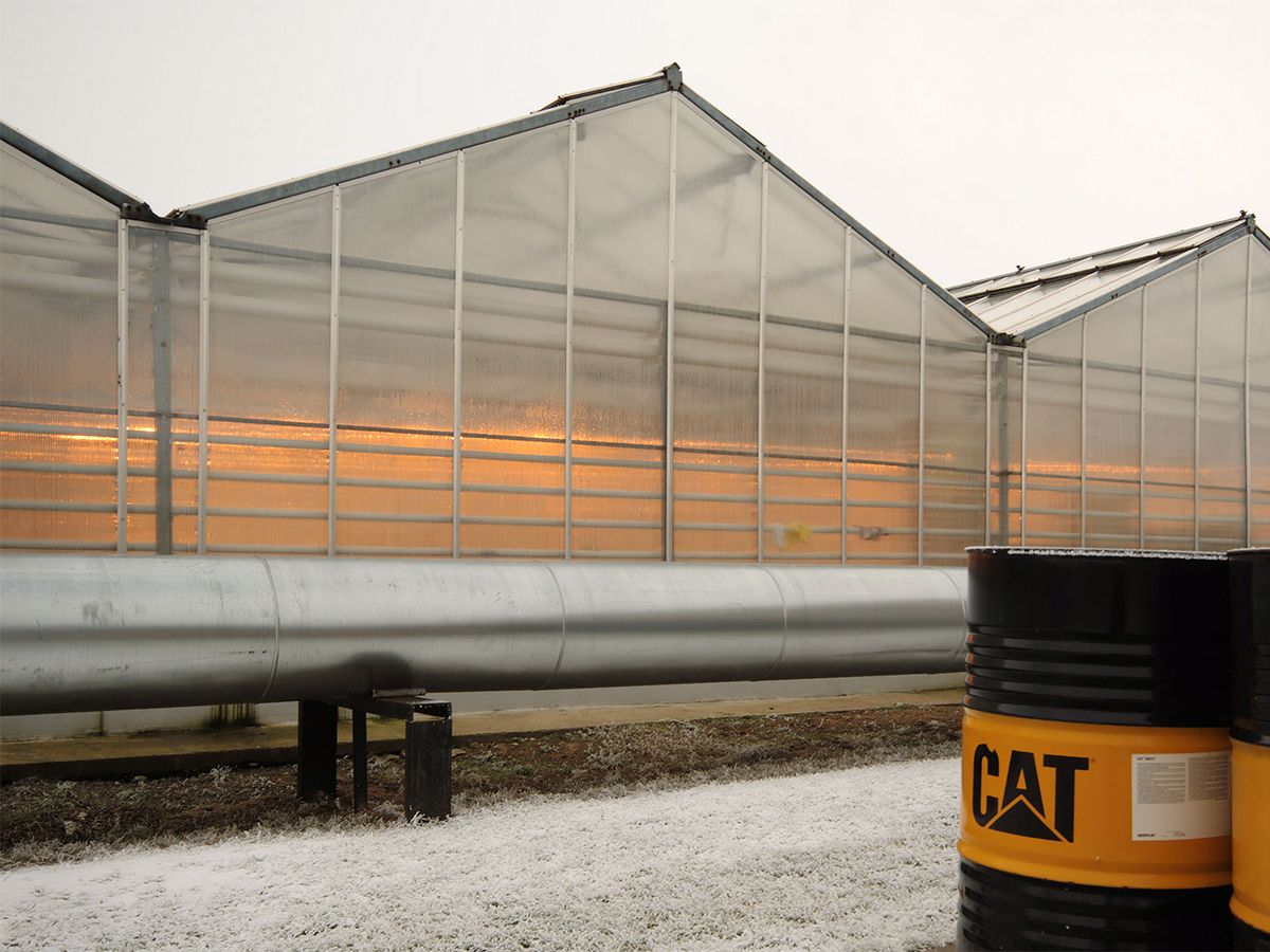 Because of the need for power to run the greenhouses as well as an increase in the prices of electric power, the greenhouse, needed an onsite power generation system to maximize growth of the vegetables.