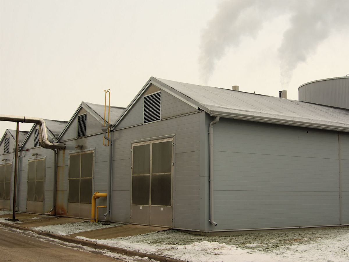 In the winter, the Cat G3516A generator sets and peak load boiler cover heat consumption.