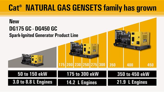 DG natural gas generator sets