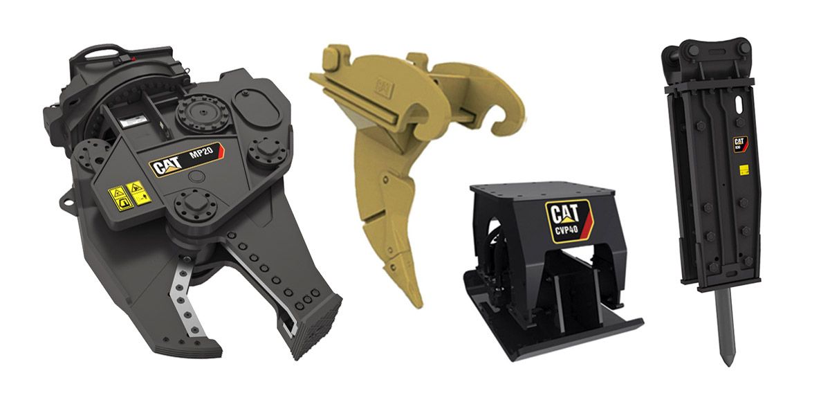 Shears Cat Caterpillar