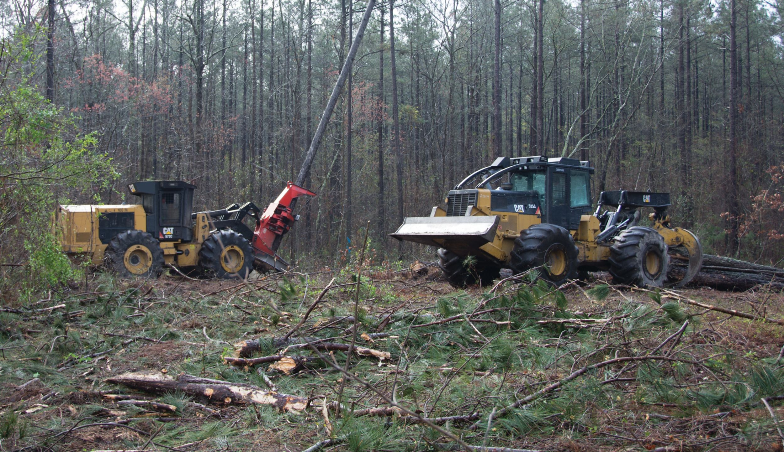  573C Feller Buncher, 525C Skidder.