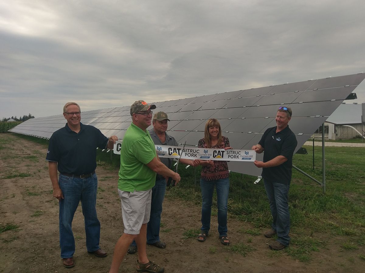 Solar panels help keep costs low for a local hog farm business