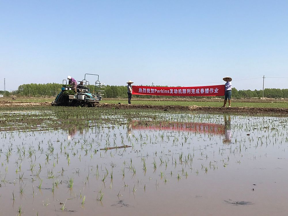 Jinhe winning the race on rice