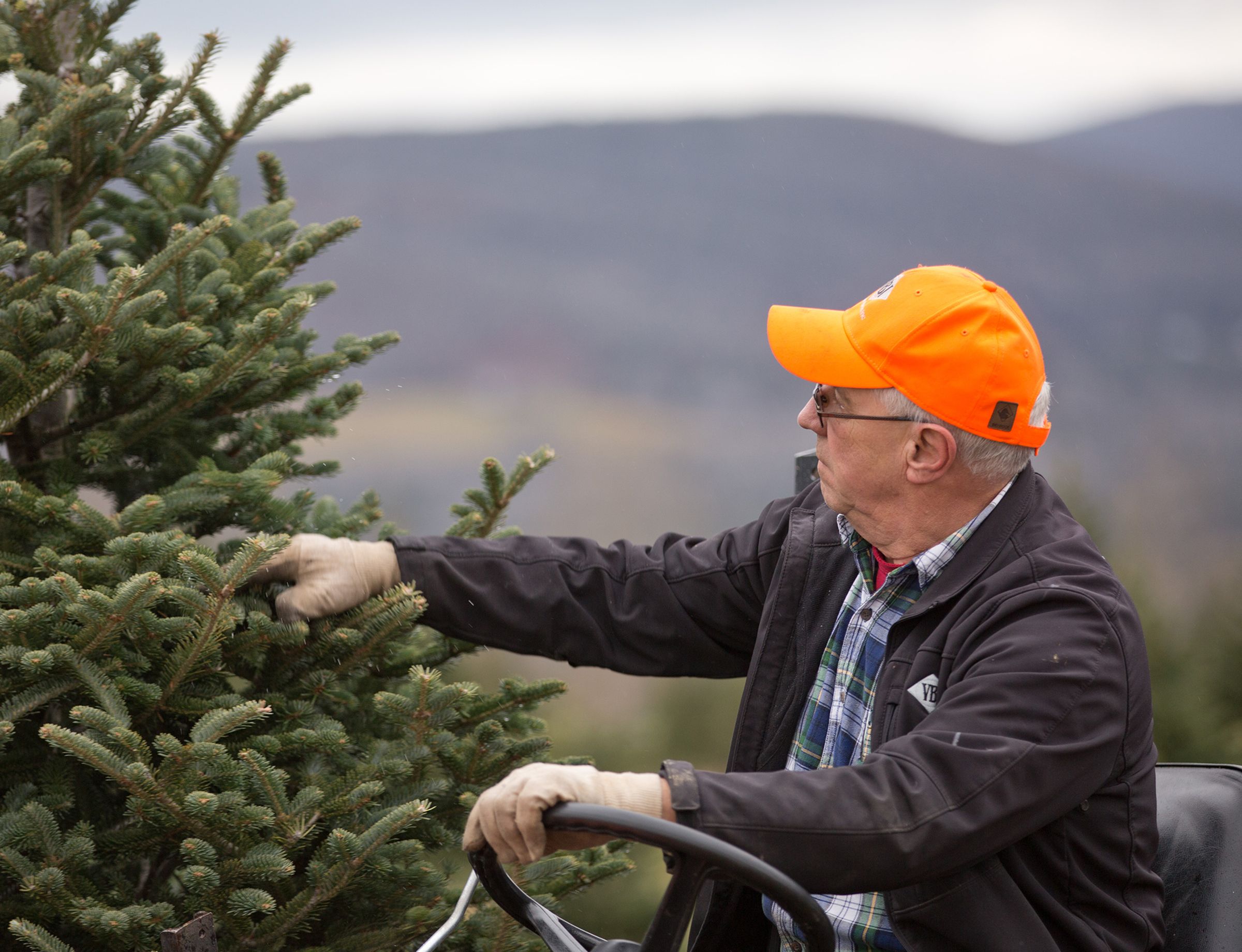 The tree farm is truly a family business, with other members, including their father Gary, involved. To know my family is part of other families’ holiday traditions is incredible, says Ben.