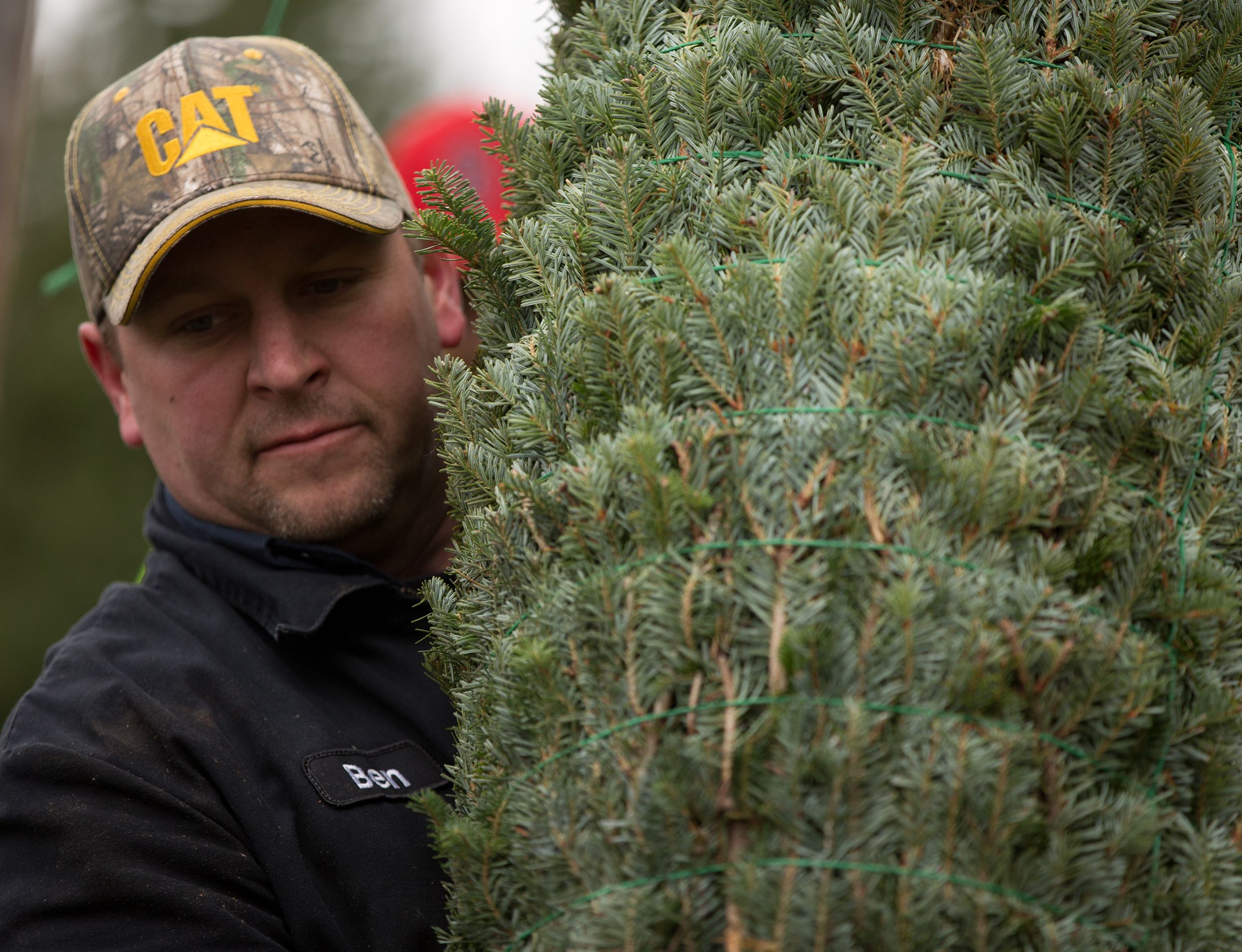 Seven years ago, the Voisines decided to diversify their business and purchased the Allagash View Christmas Tree Farm.