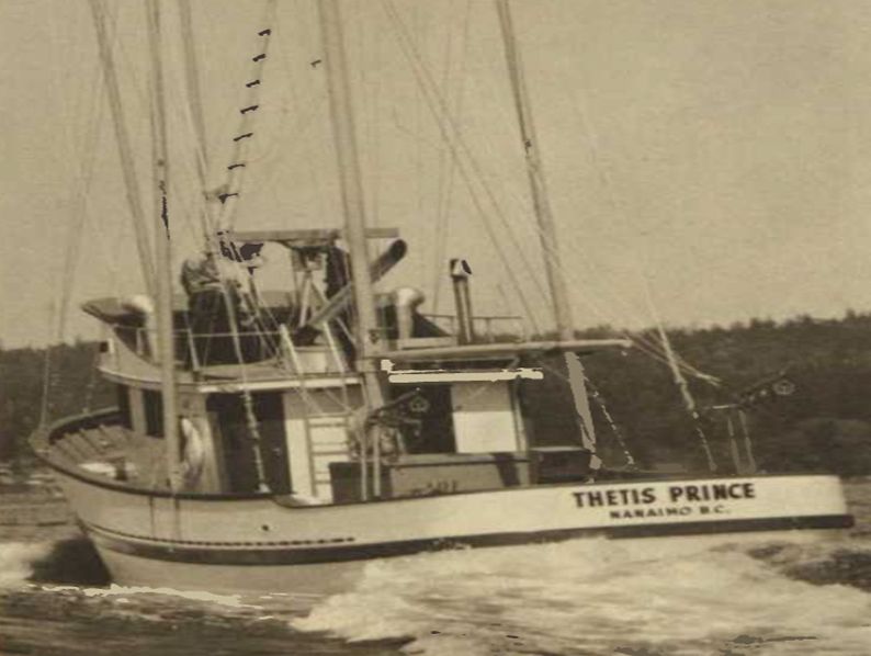 A D333 engine gave Thetis Prince’s captain, Bill Timmins, all the power he could use plus “excellent performance” as he fished in northern waters. The preference for Cat engines ran in the family: Timmins’ brother Bob launched a D333-equipped sister boat.