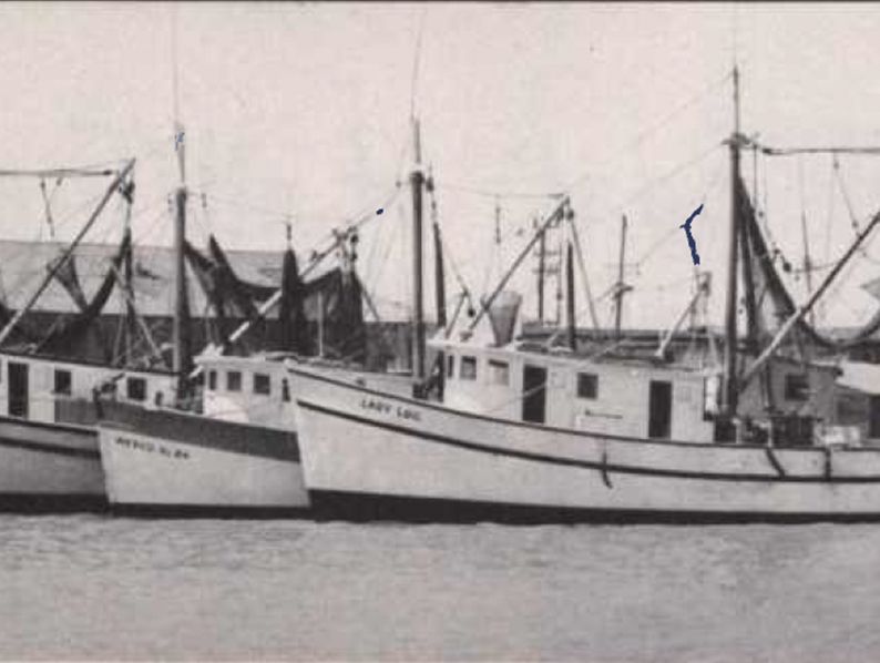 Western Shellfish	Ten of Western Shellfish Co.’s shrimp trawlers featured Cat marine power. “We get more fishing days due to fewer power troubles,” said owner George R. Godfry. “Their low cost of operation and their dependability are the reasons I am partial to Caterpillar.”