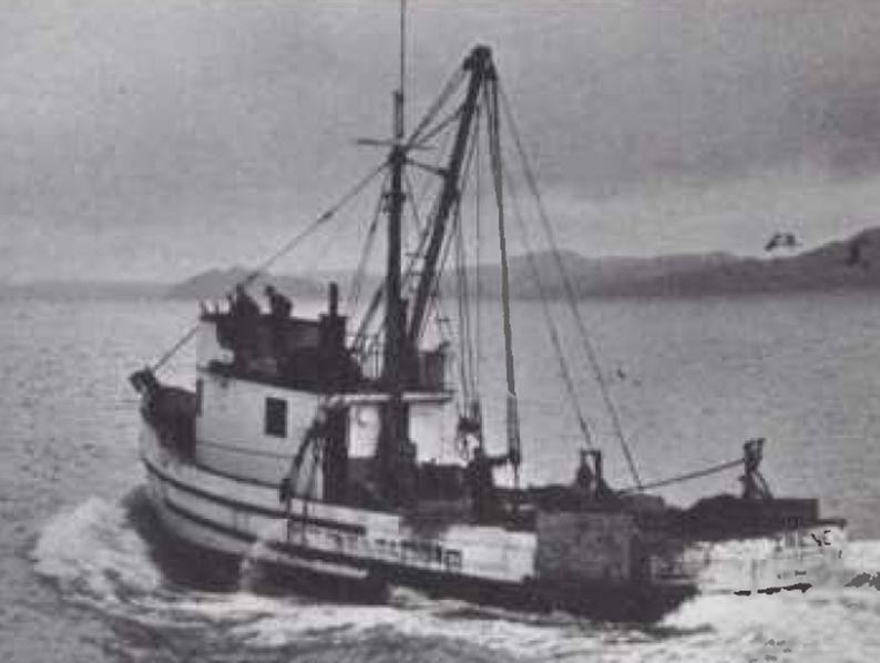 Working out of San Francisco, the halibut fishing boat Irene was powered by a Cat D337 (Series F) engine swinging a 53