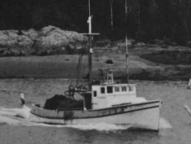 Aqua-Naut’s captain, James Fitzgerald, bought a D333 for his sardine boat on its reputation for dependability, and it delivered with 4,200 hours of trouble-free service. Fitzgerald was also a fan of the engine’s tinker-free fuel system, low vibration and lack of noise.