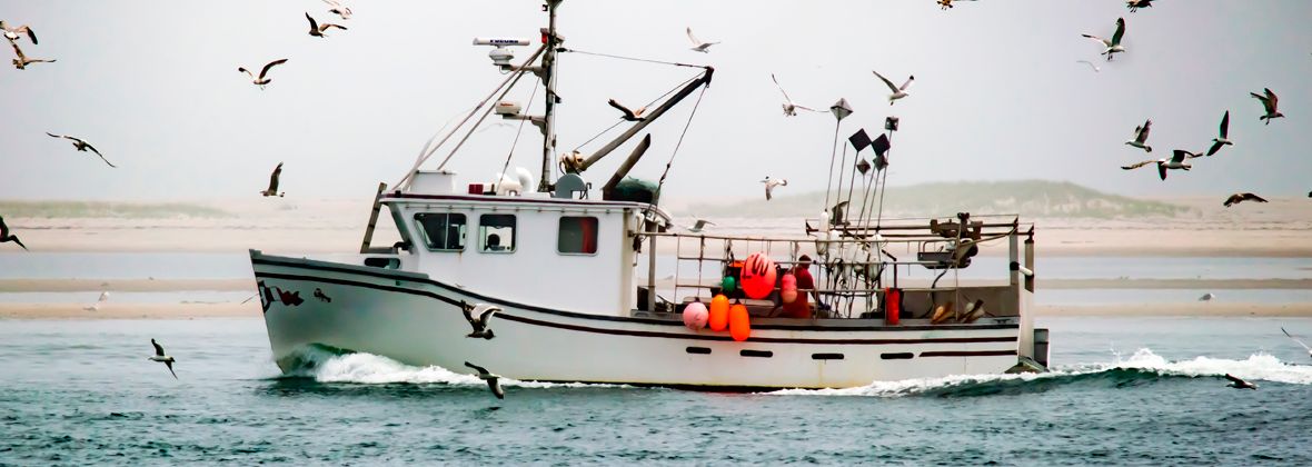 Commercial Fishing Engines