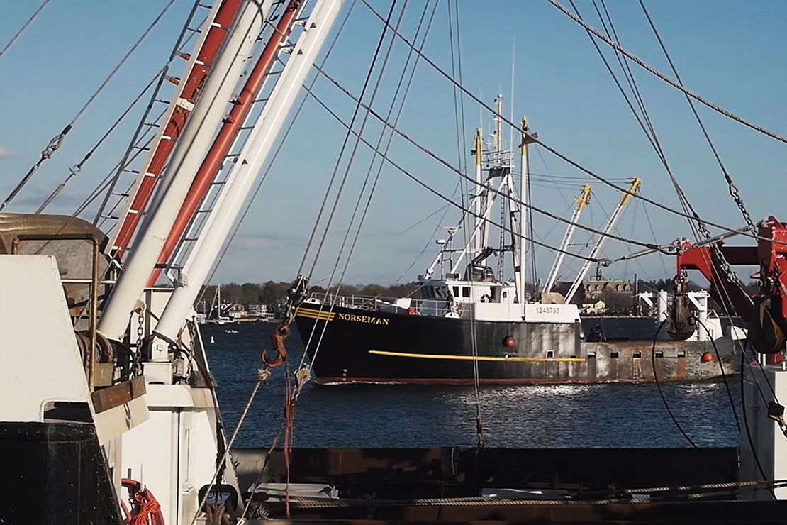 Work on the Water: Scalloping