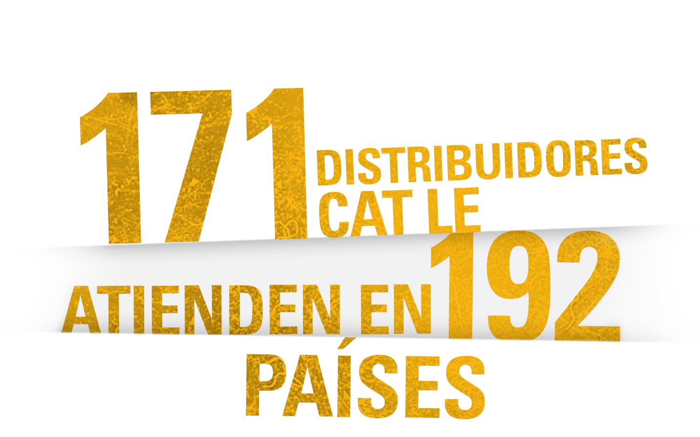 171 DISTRIBUIDORES CAT LE ATIENDEN EN 192 PAÍSES