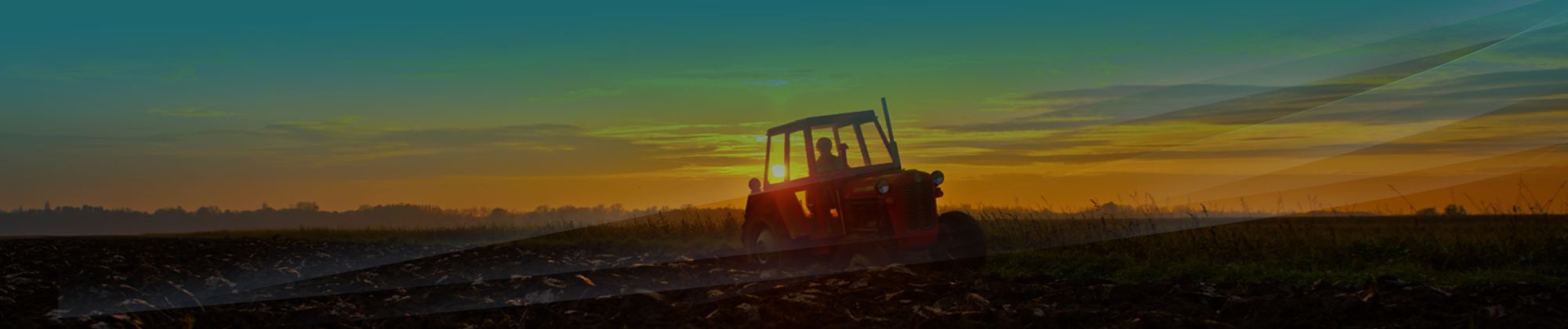 Tractor ploughing field