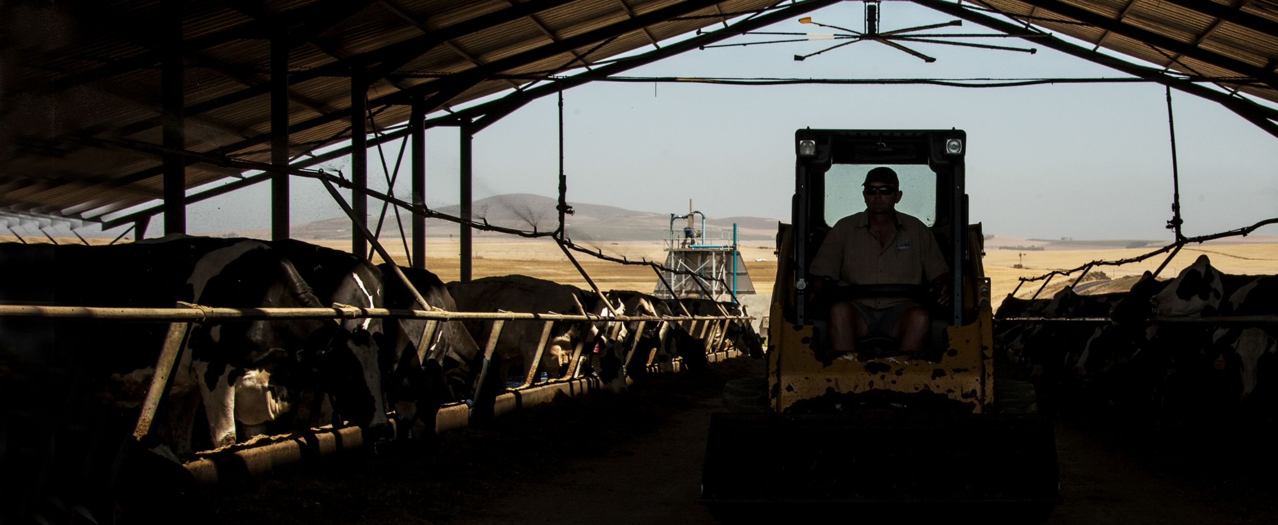 Father and daughter working together during COVID-19 pandemic