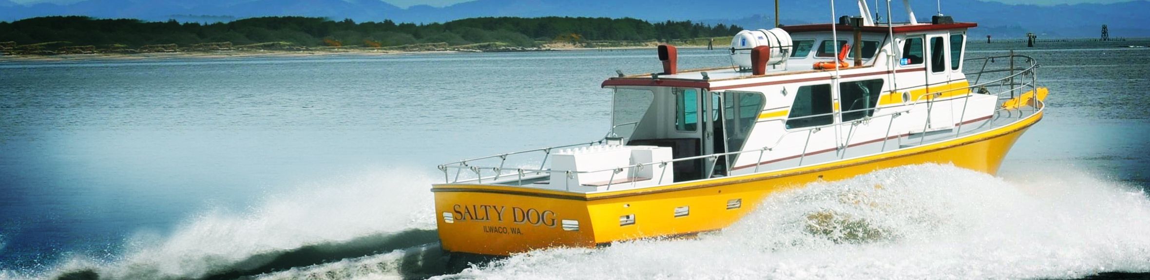 Salty Dog