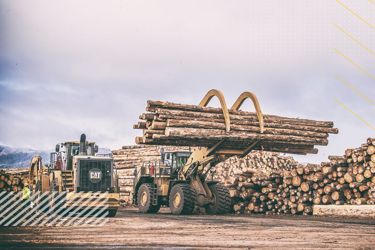 Найти дилера 