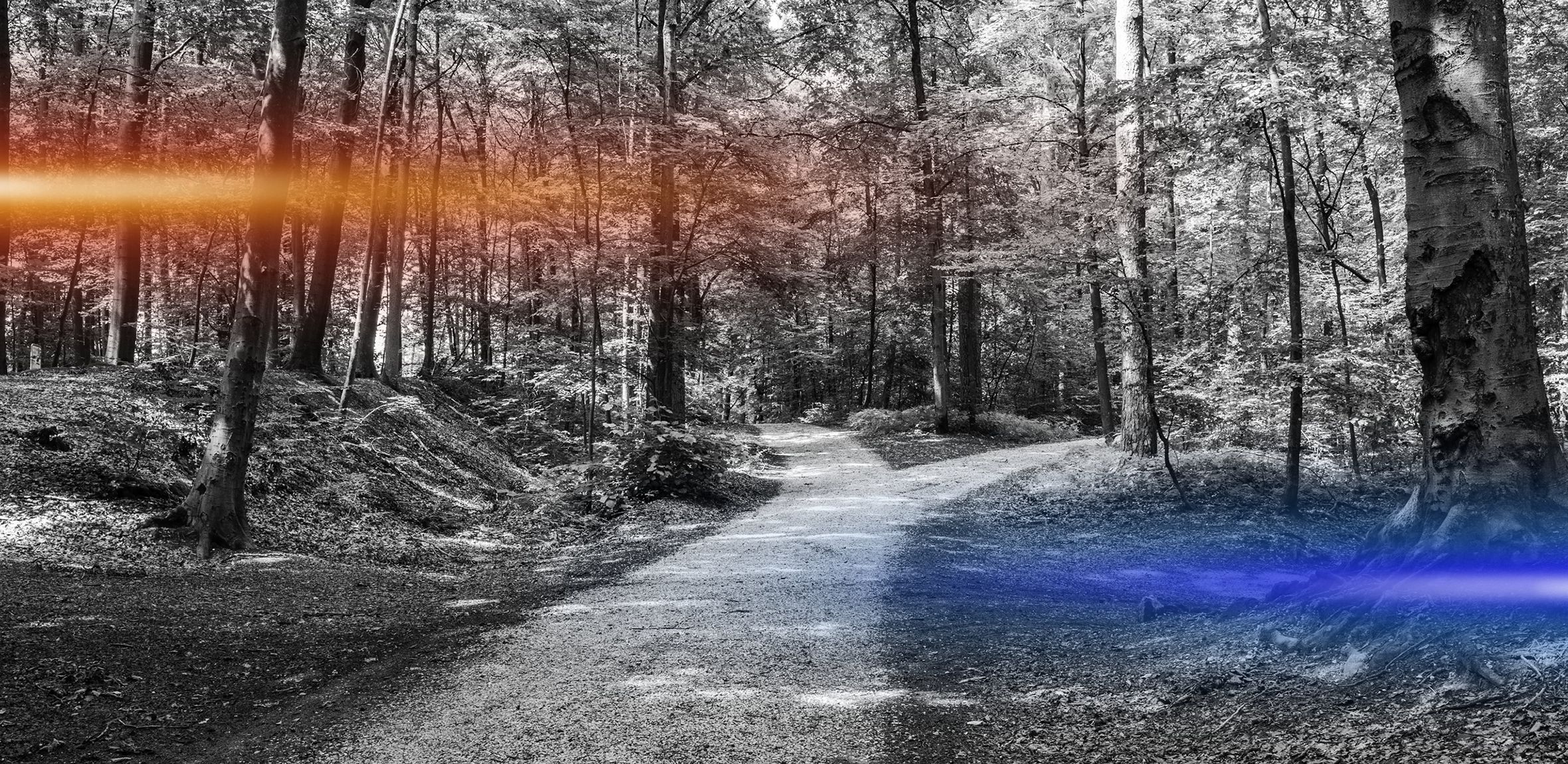 CHP Savings and Sustainability