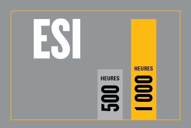 Graphique de l’option ESI