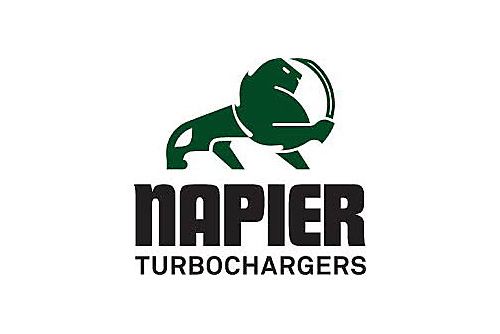 Napier Logo