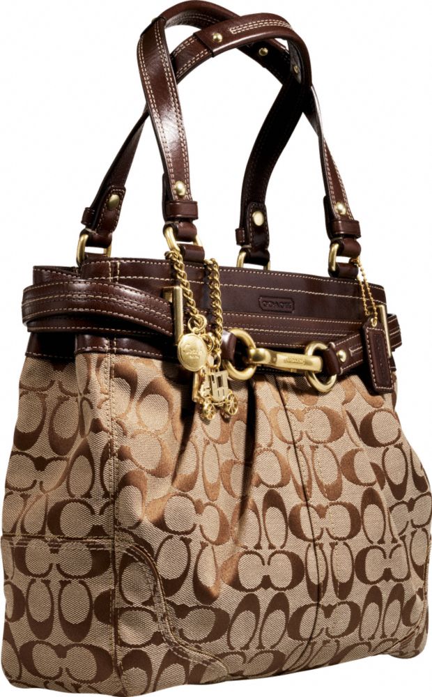 Coach handbag online cleaner