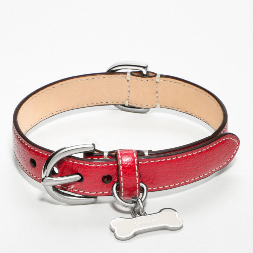 Leather Collar With Bone Charm