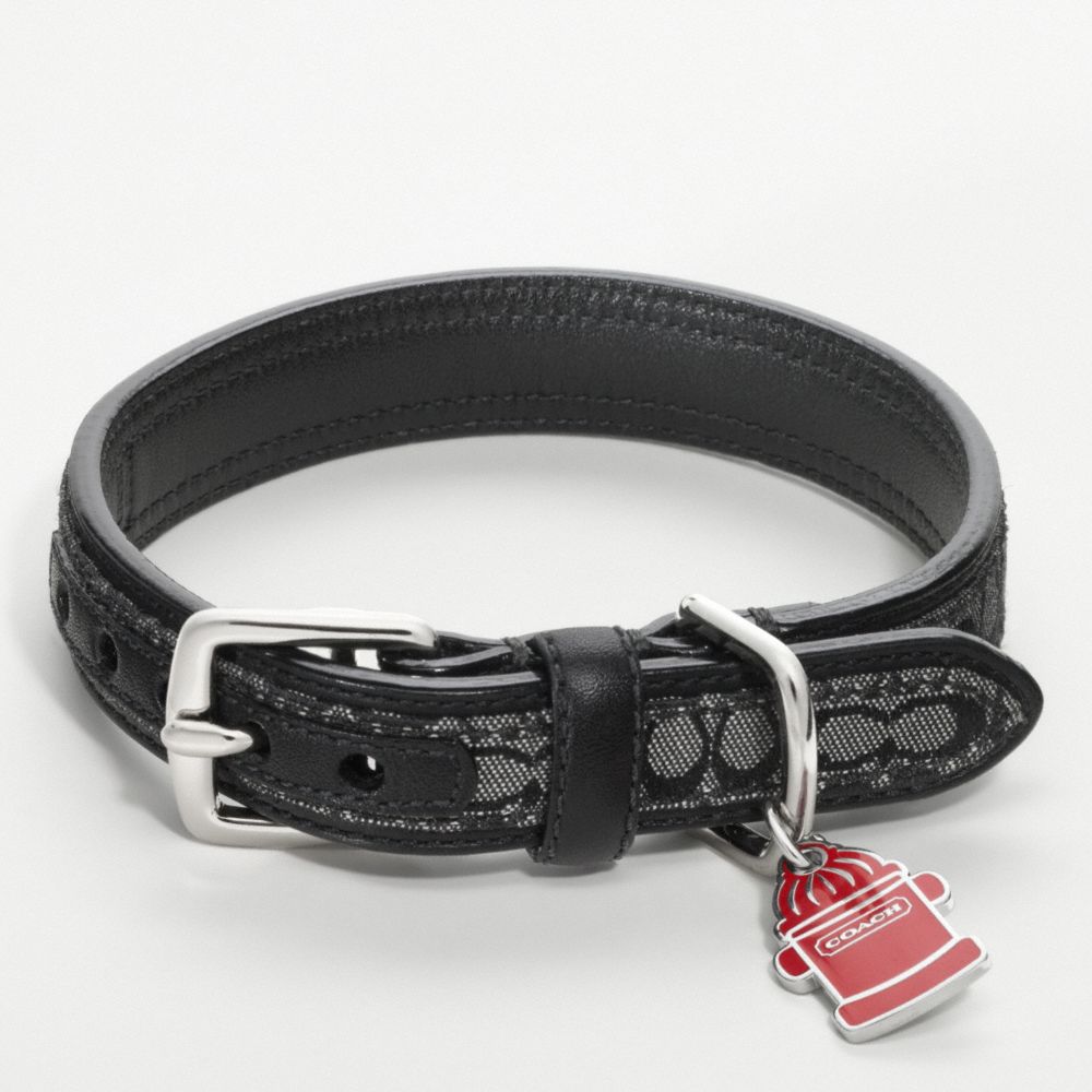 SIGNATURE COLLAR WITH FIRE HYDRANT