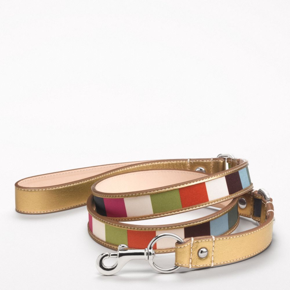 LEGACY STRIPE LEASH