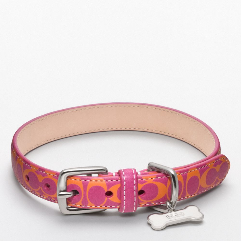 SIGNATURE C PRINTED LEATHER COLLAR