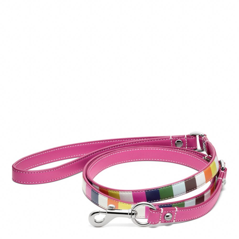 Printed Legacy Stripe Leather Leash