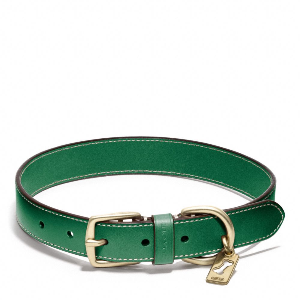 Bleecker Leather Story Patch Dog Collar