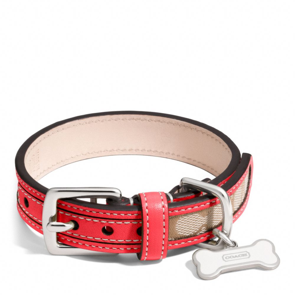 LEGACY SIGNATURE COLLAR
