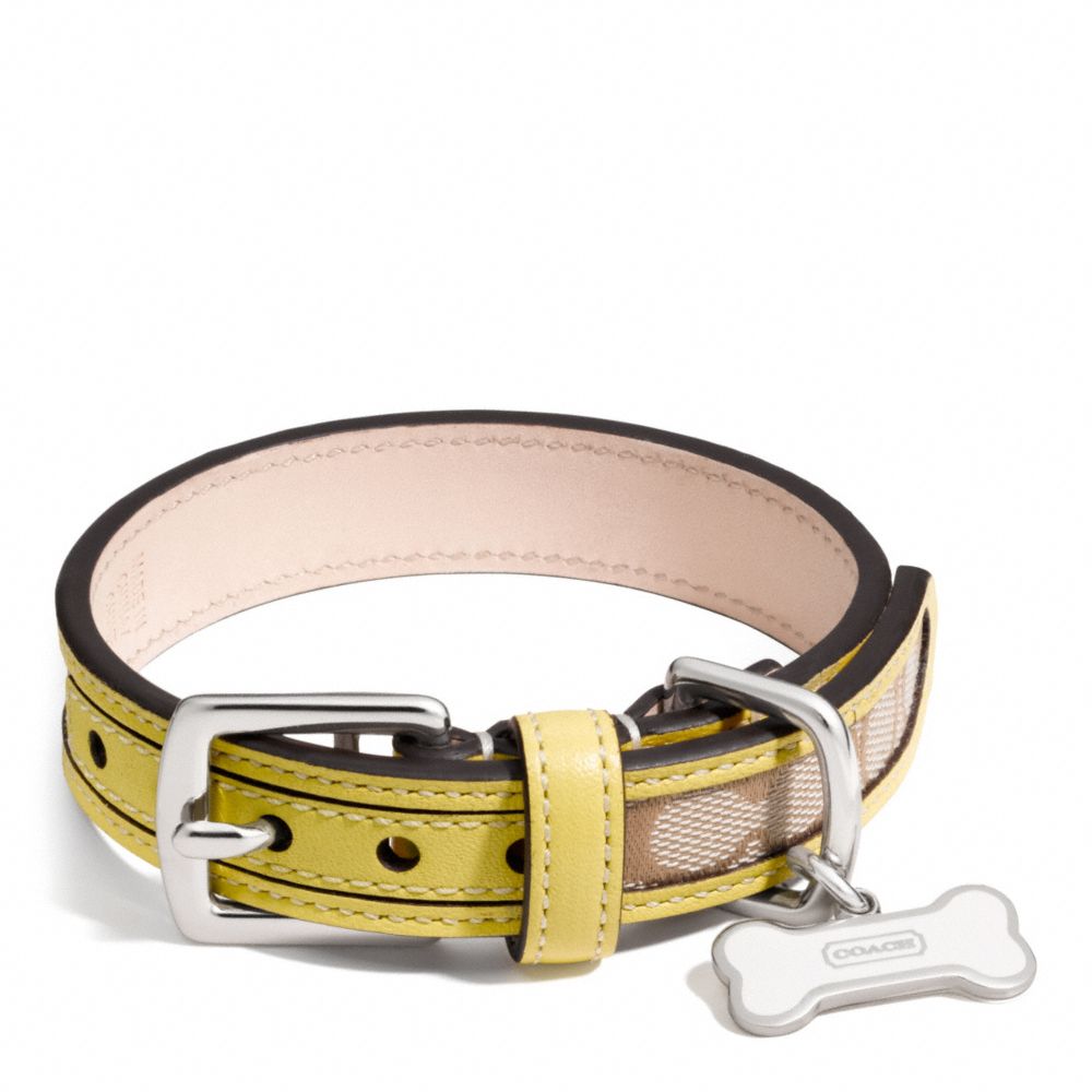 LEGACY SIGNATURE COLLAR