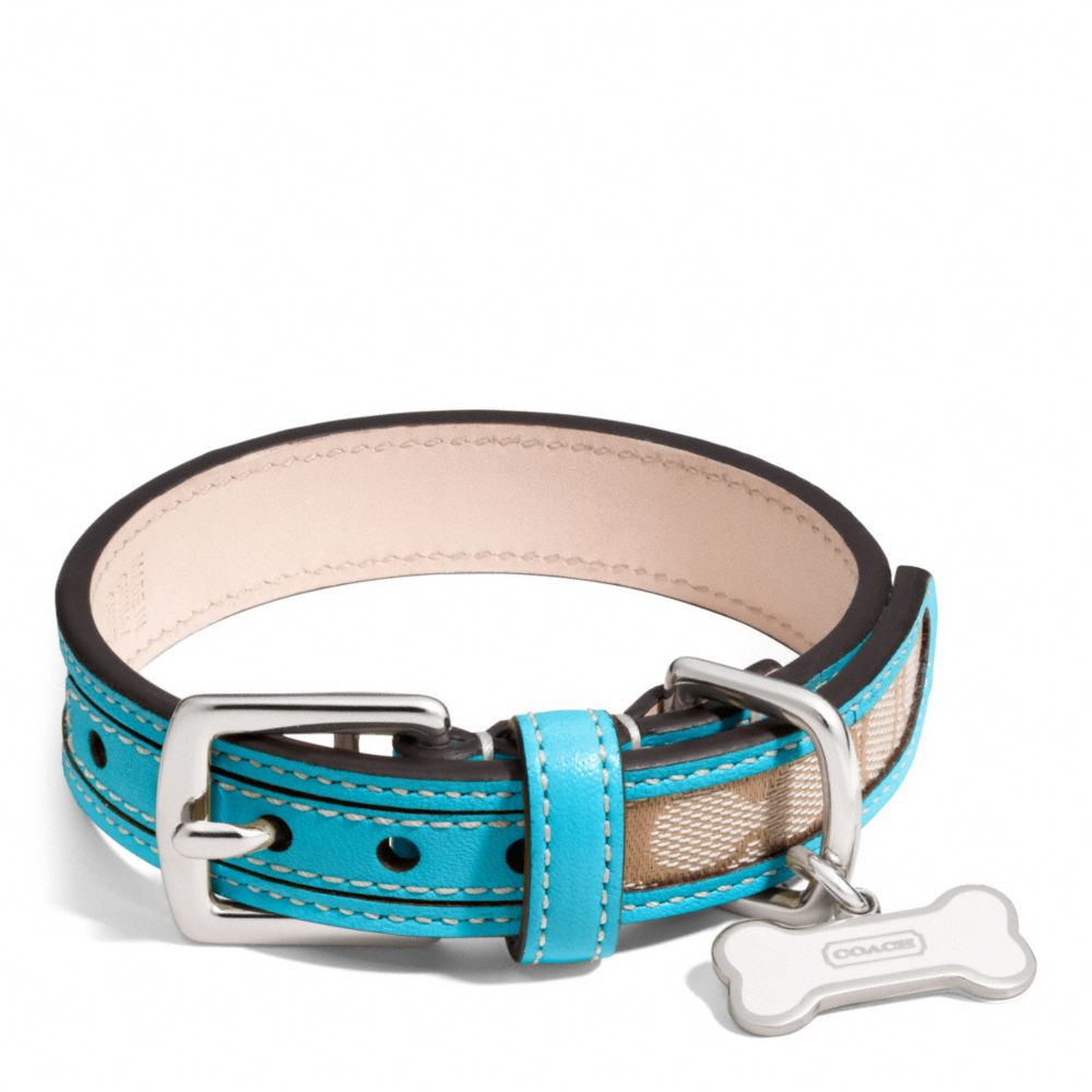 LEGACY SIGNATURE COLLAR