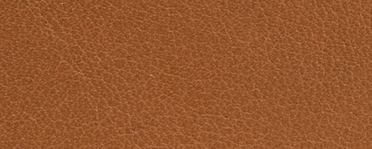 coach wallets 74896