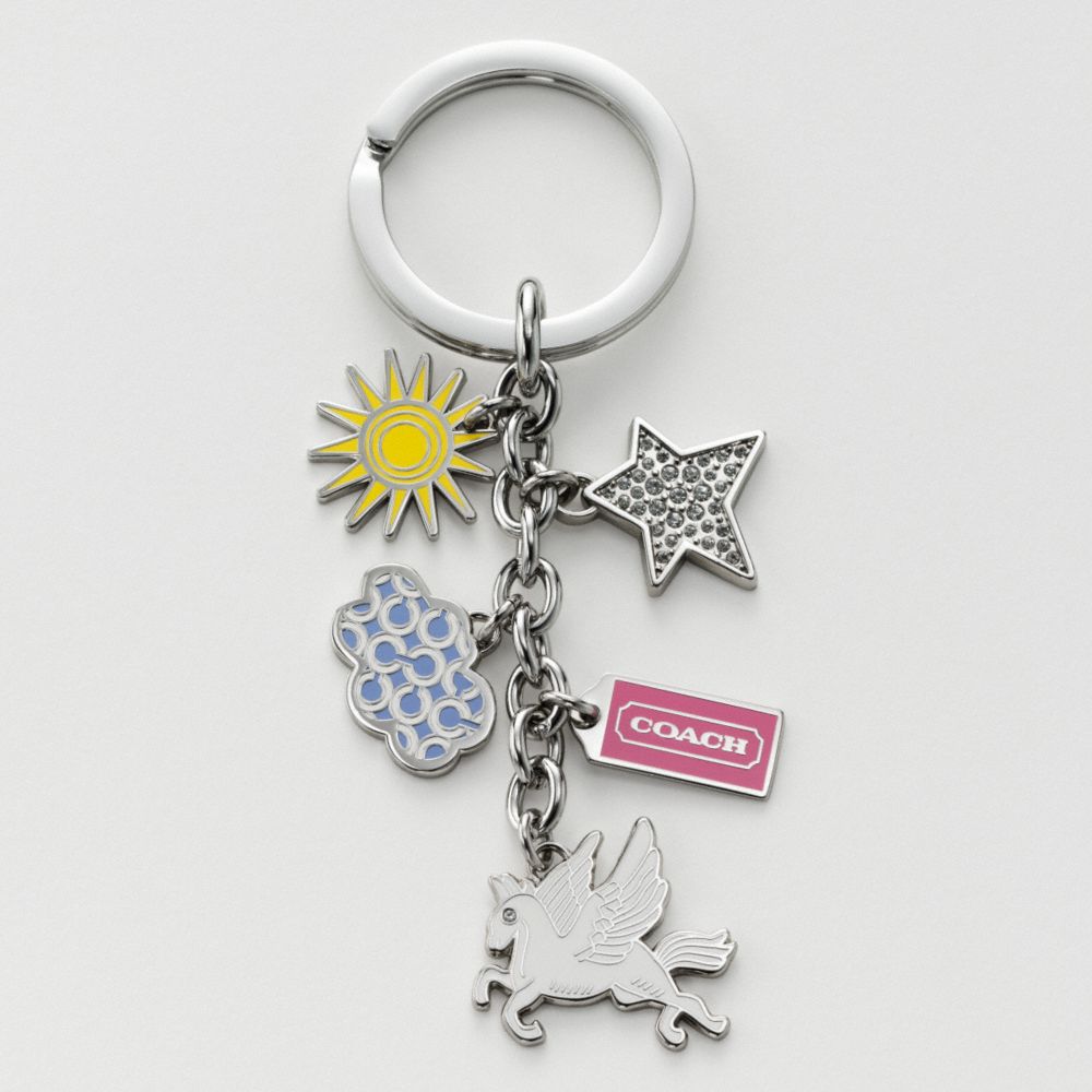 ペガサス マルチ ミックス キーフォブ &yen;12,600
