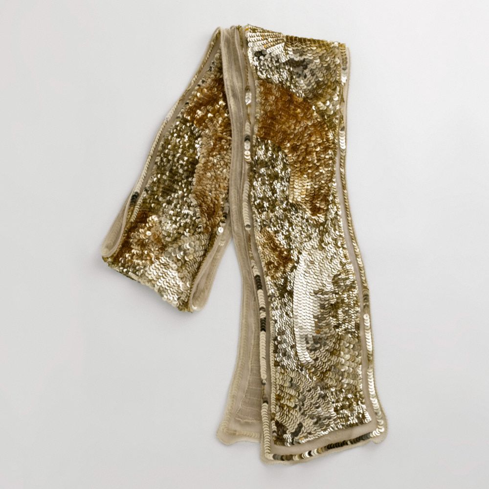 SEQUIN SKINNY SCARF from coach.com