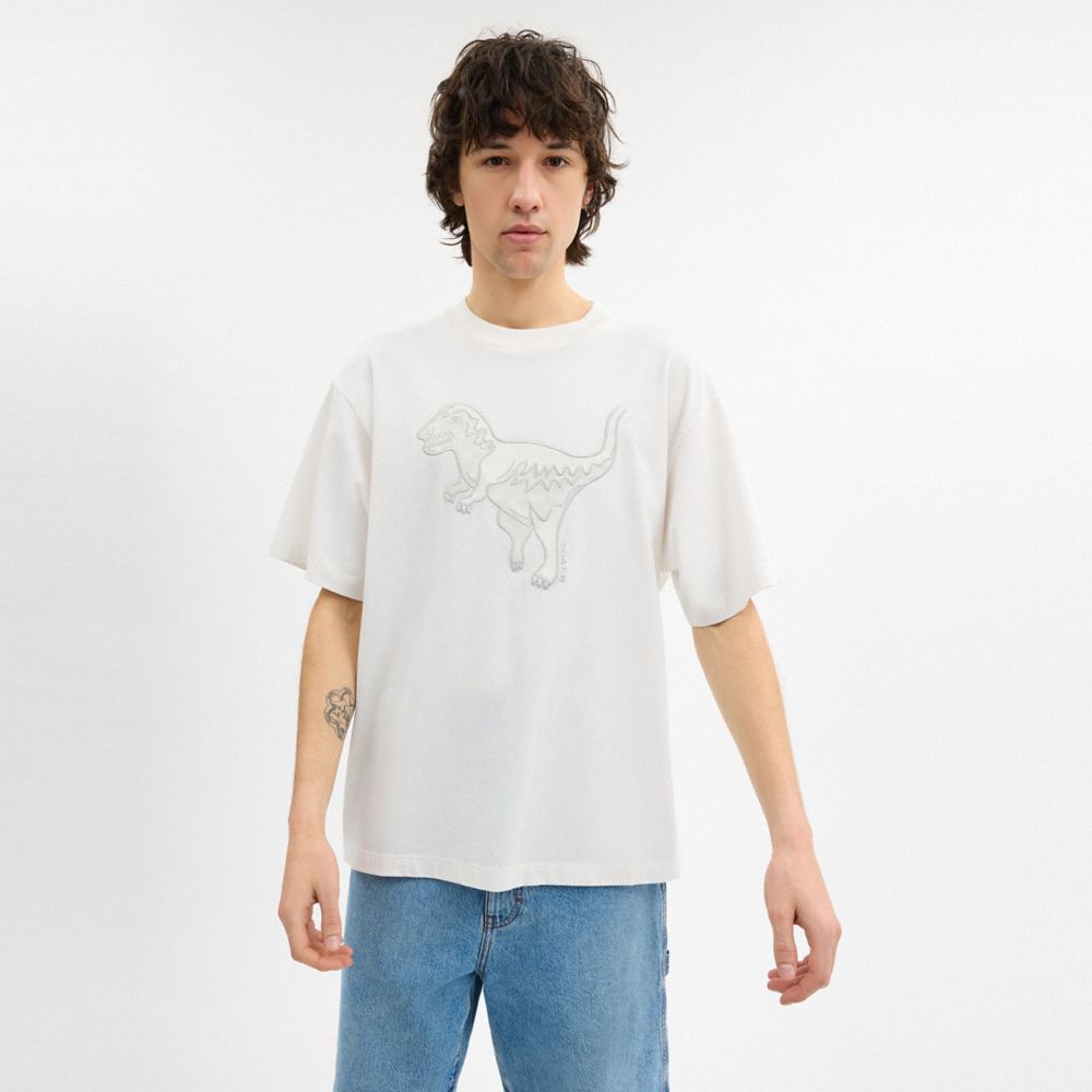 CS619 WHT