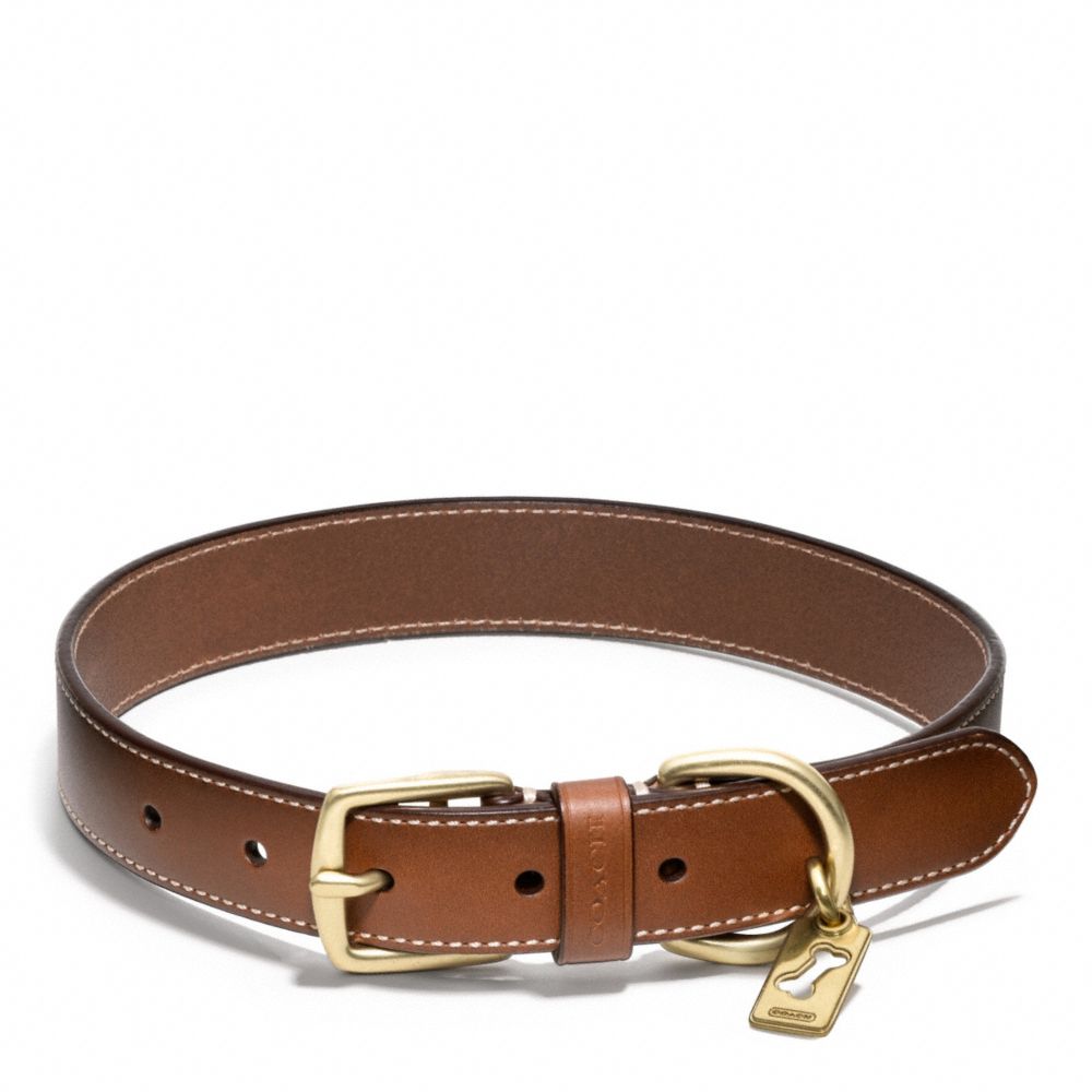 BLEECKER LEATHER STORY PATCH DOG COLLAR - COACH f62777 - FAWN